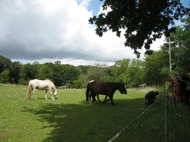 2007 05 Myco avec la SMF 12